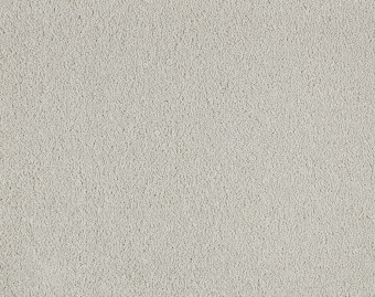 [400111254_3] Soft Distinction - 242-Biscuit